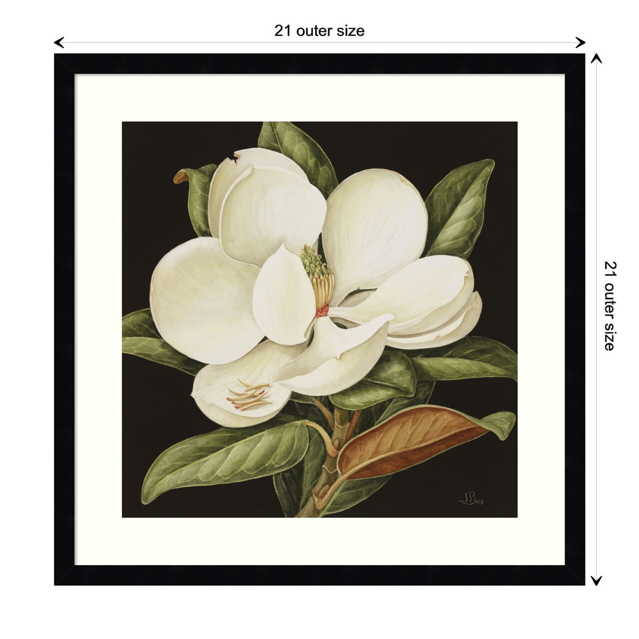 Magnolia Grandiflora 2003 by Jenny Barron Wood Framed Wall Art Print